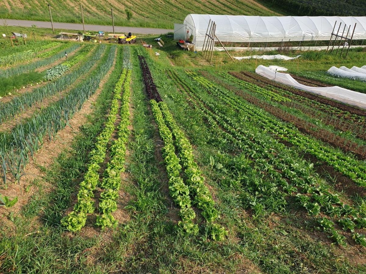 Herzhof Lampert Riegersburg Eksteriør bilde